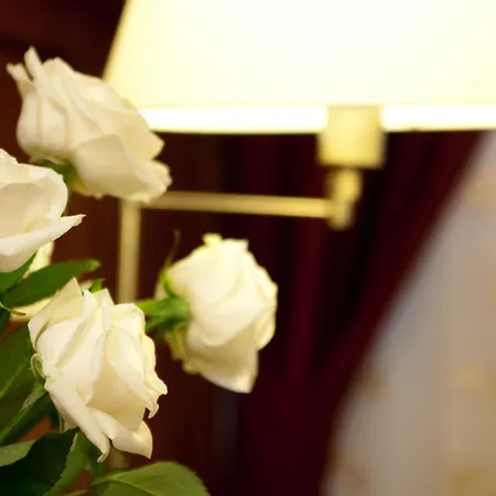 Hotel Heritage Tisno