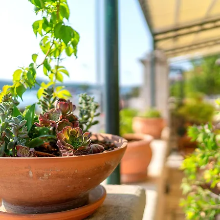 Heritage Hotel Tisno
